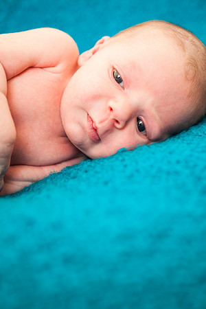 Milo Newborn-50