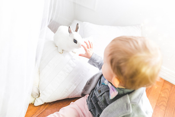 Bunnies 2019-42