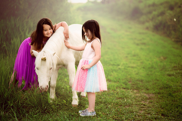Unicorn 2019