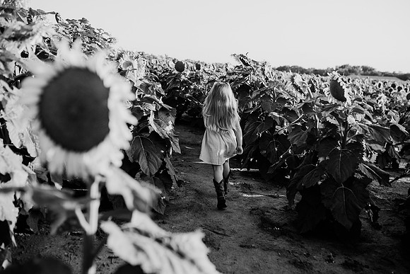 xSunflower 2022-94