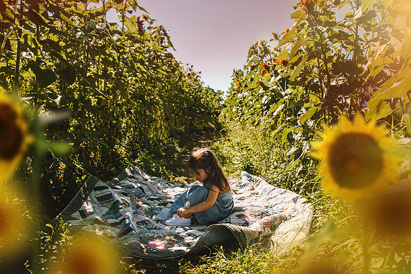 Sunflowers-40