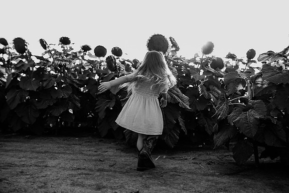 xSunflower 2022-56