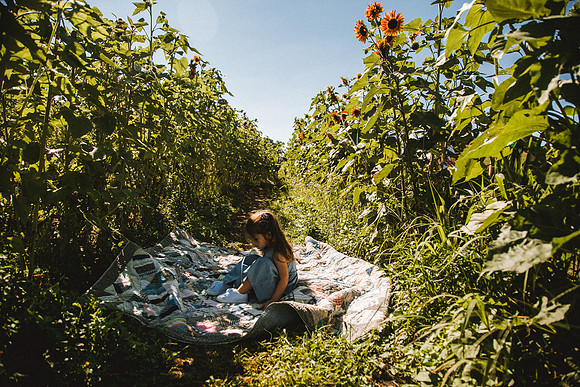 Sunflowers-39