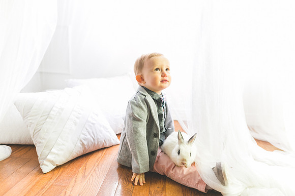 Bunnies 2019-31