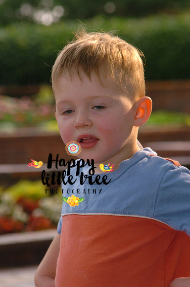 DSC_0011
