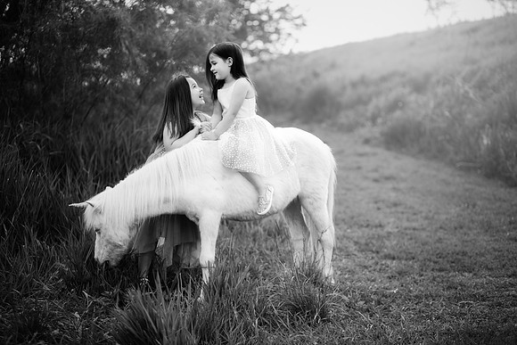 xUnicorn 2019-25