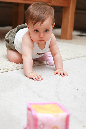 Amelia 9mth-33