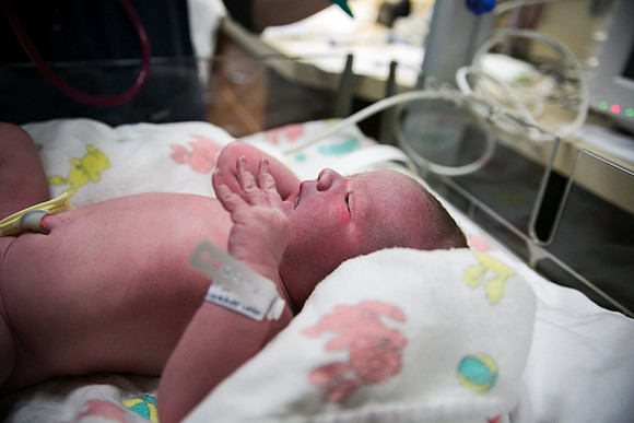 Matthew Birth-336