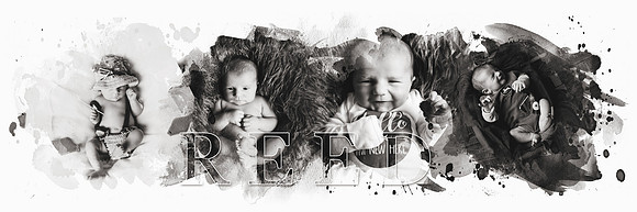 Reed Paintb&w