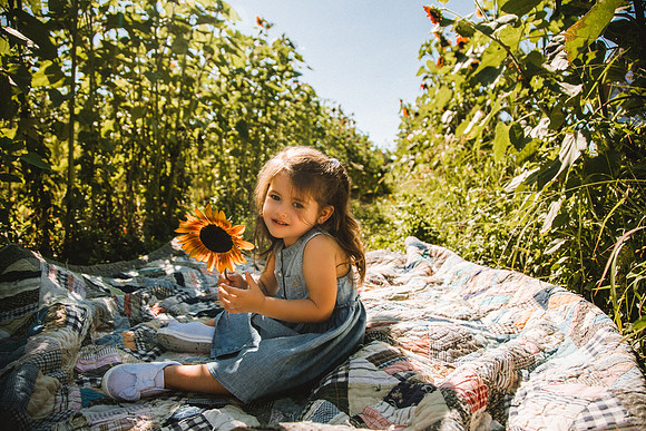 Sunflowers-48
