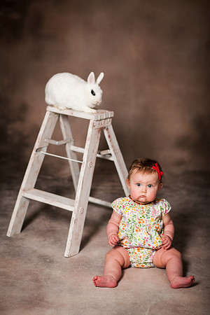 Bunnies 2019-57
