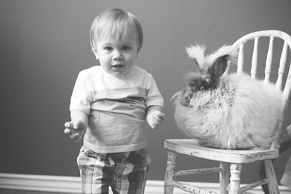Toby-Bunny-2016-67