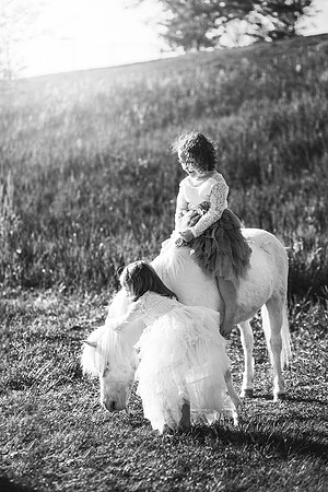 xUnicorn-26