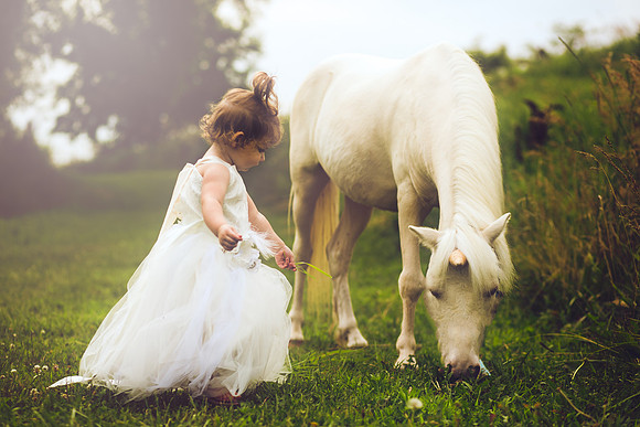 Unicorn-13