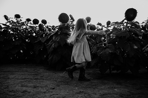 xSunflower 2022-51