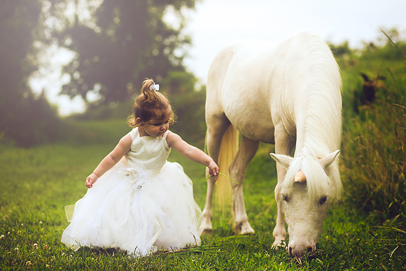 Unicorn-12