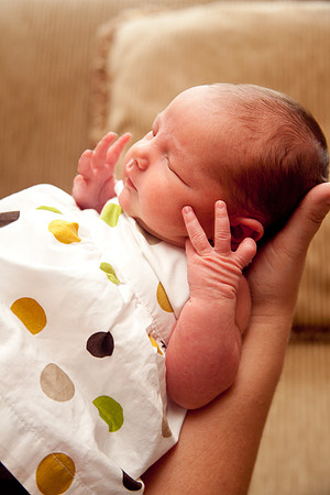 Lenora - Newborn-16