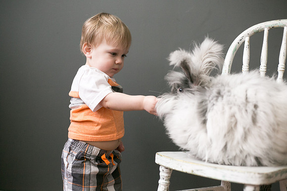 Toby-Bunny-2016-27