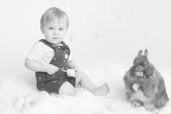 Toby-Bunny-2016-47