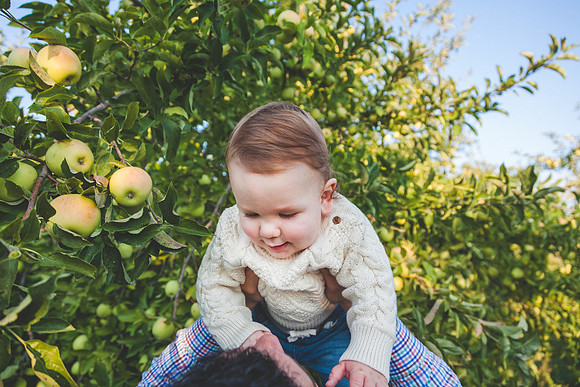 Franklin 9mth-61