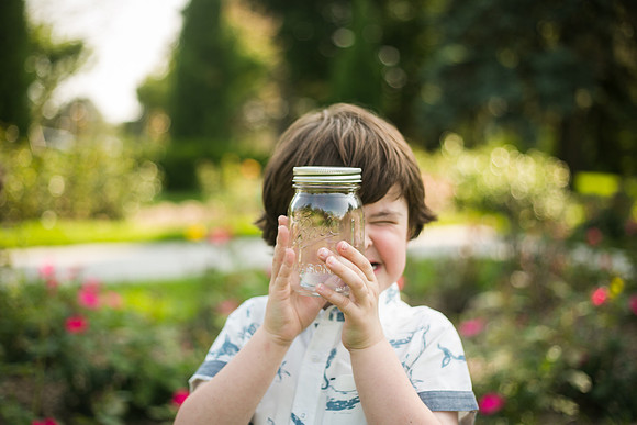 Fireflies 2019-44