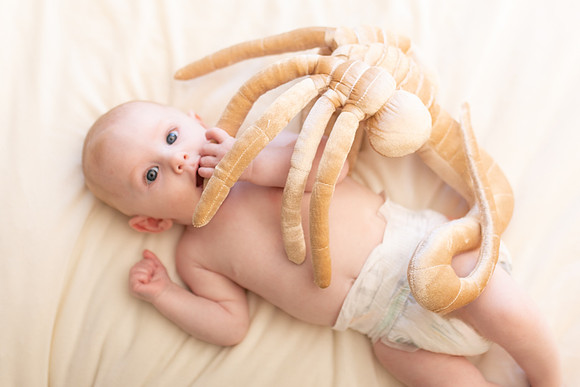 William 4mth-31