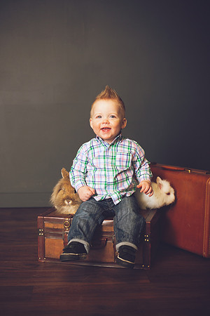 Oliver Bunnies-4