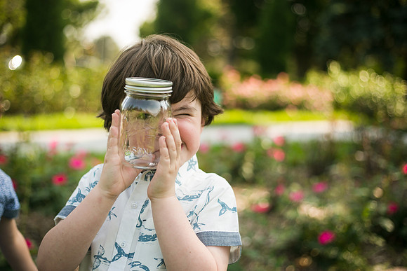 Fireflies 2019-46