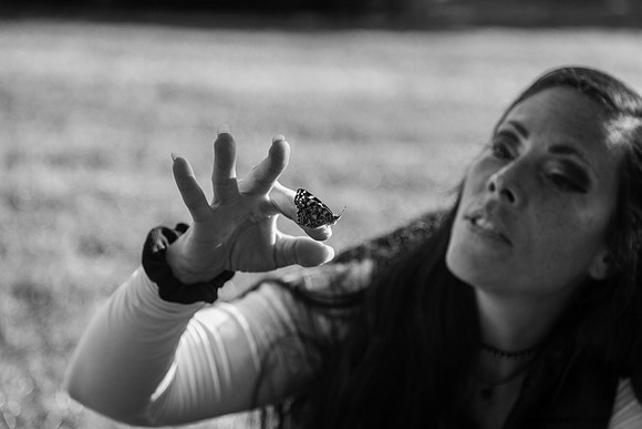Butterflies-254