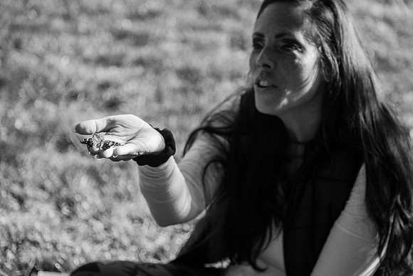 Butterflies-262