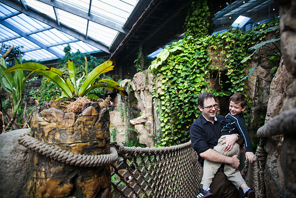 Zoo 2017-8