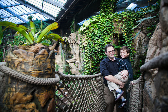 Zoo 2017-9