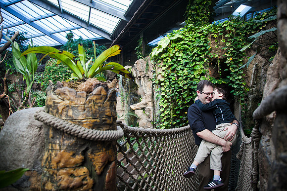 Zoo 2017-11