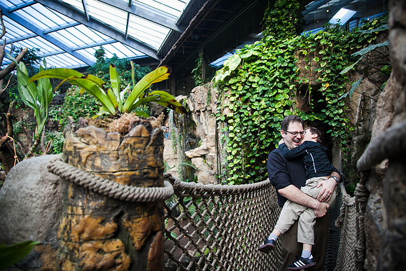 Zoo 2017-12