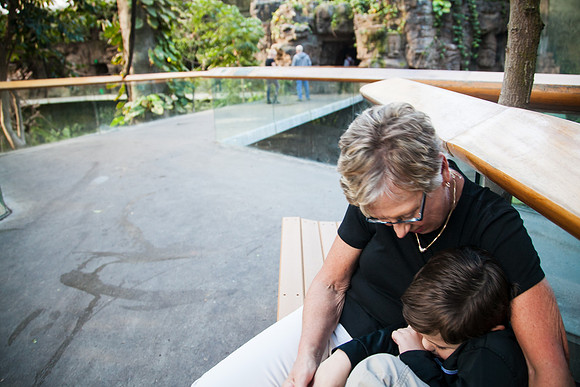 Zoo 2017-27