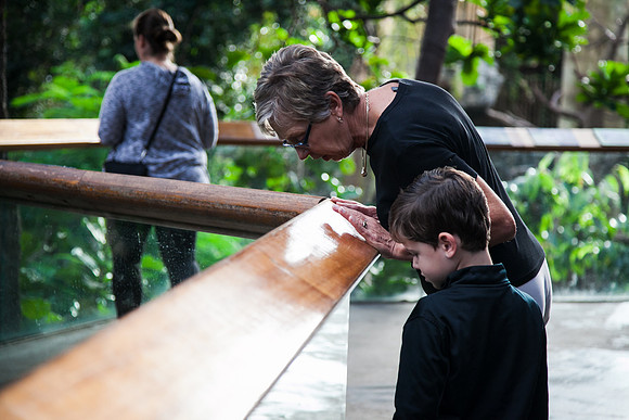 Zoo 2017-31