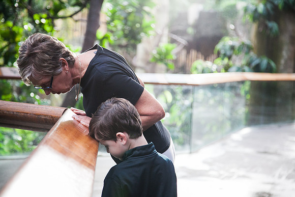 Zoo 2017-32