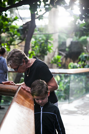Zoo 2017-33