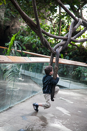 Zoo 2017-37