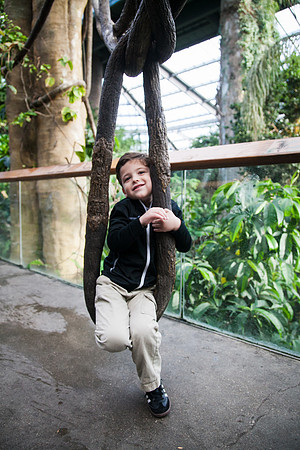 Zoo 2017-38