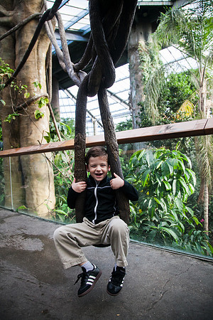 Zoo 2017-39