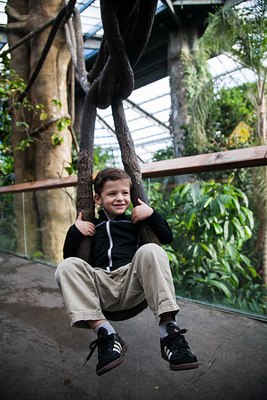 Zoo 2017-40