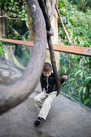 Zoo 2017-43