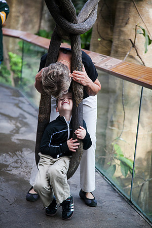 Zoo 2017-44
