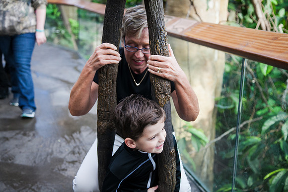 Zoo 2017-46