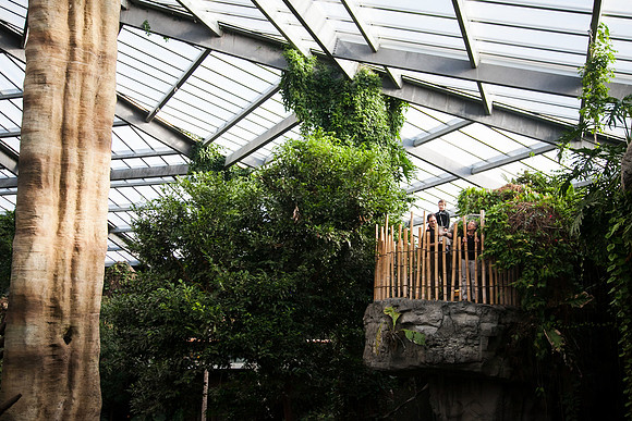 Zoo 2017-51