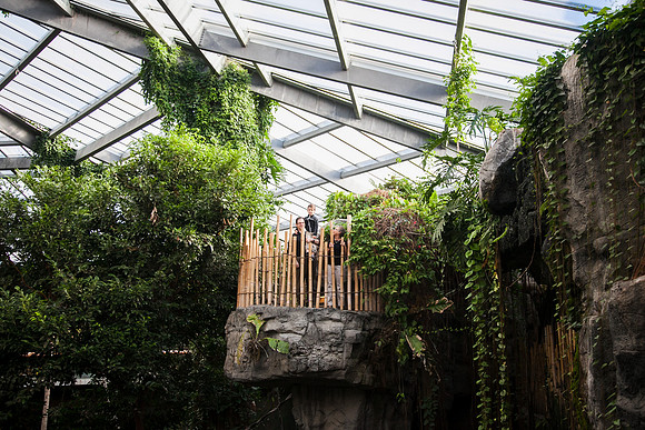 Zoo 2017-52