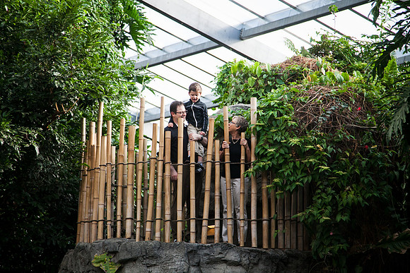Zoo 2017-54