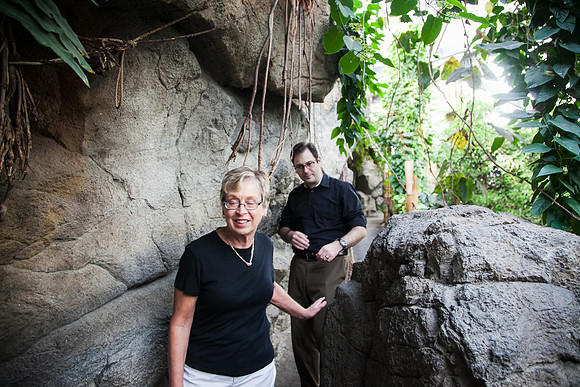 Zoo 2017-64