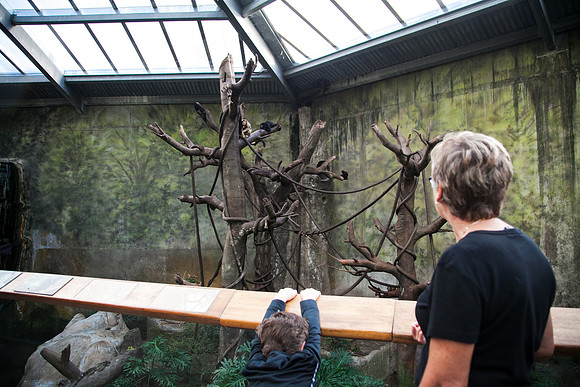 Zoo 2017-65